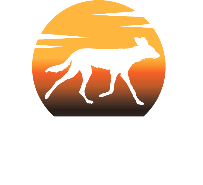 Running For Wild Dogs